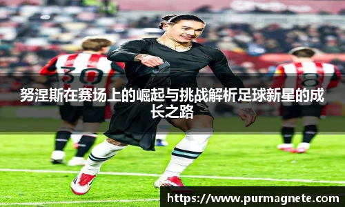 bsports必一体育