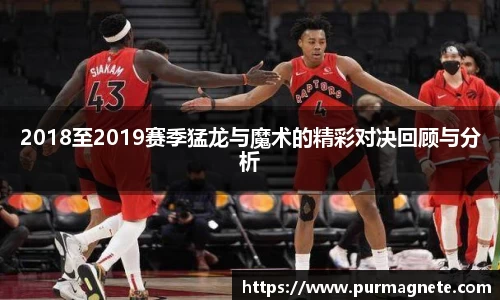 2018至2019赛季猛龙与魔术的精彩对决回顾与分析