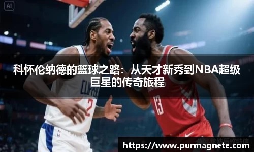 bsports必一体育