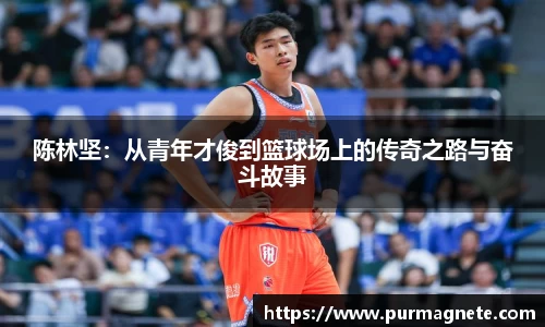 bsports必一登录入口
