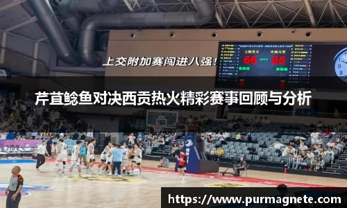 bsports必一体育
